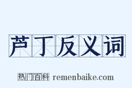 芦丁反义词是什么意思的图片